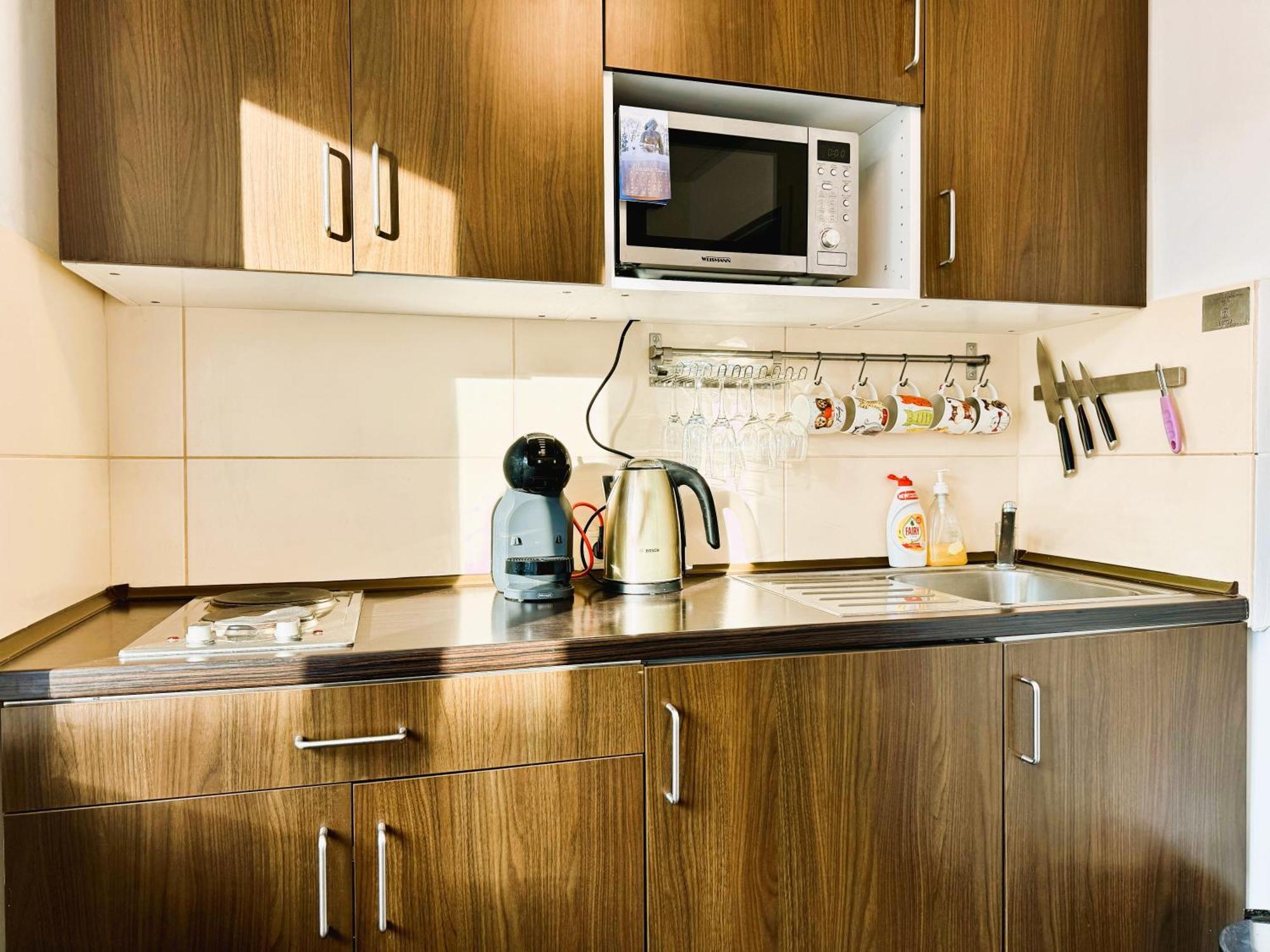 Apartment In The City Center Druskininkai Luaran gambar