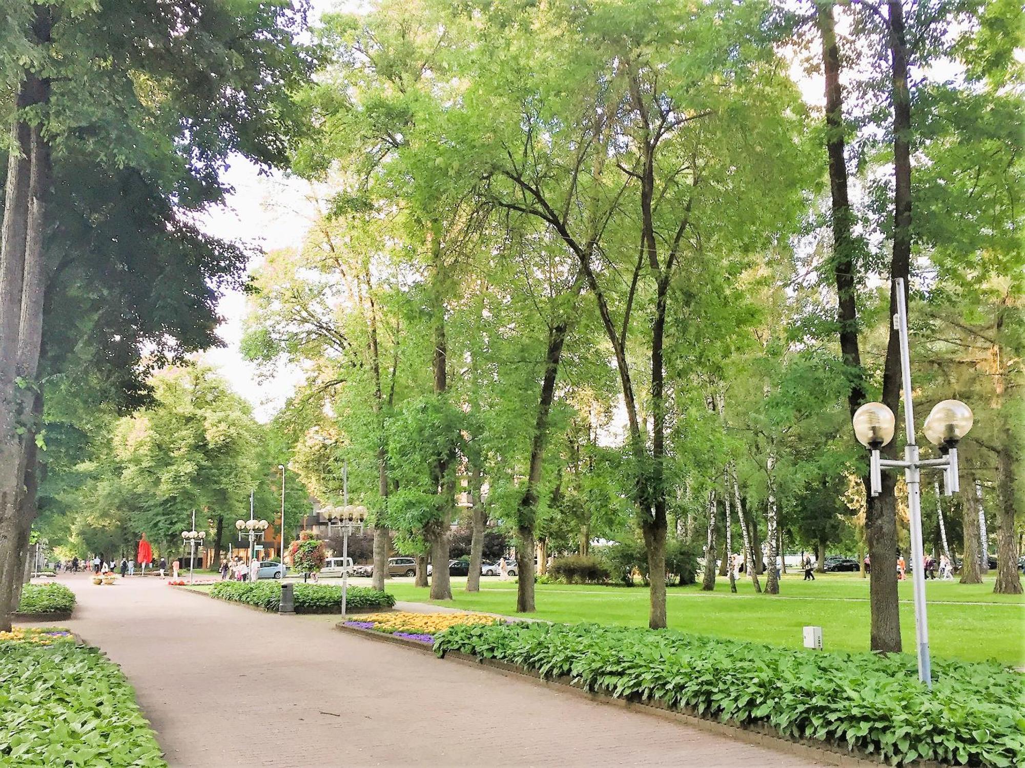 Apartment In The City Center Druskininkai Luaran gambar